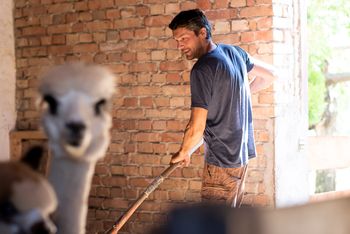 Hofburg Pöhn Alpaka