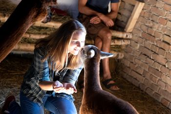 Hofburg Pöhn Alpaka