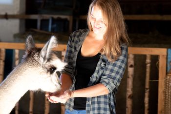 Hofburg Pöhn Alpaka