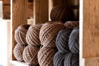 Hofburg Pöhn Alpaka