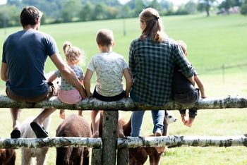 Hofburg Pöhn Alpaka